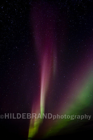Arctic Aurora
