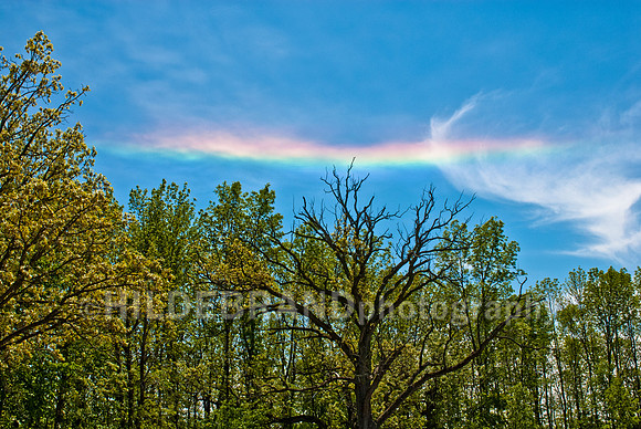 Ice Crystals in the Clouds