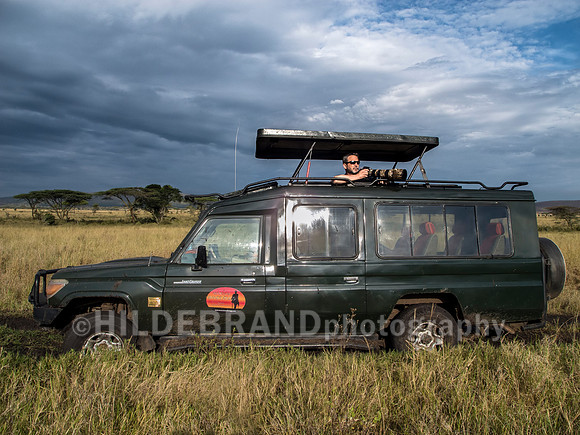 On Safari