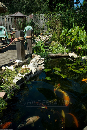 Ewing's Garden