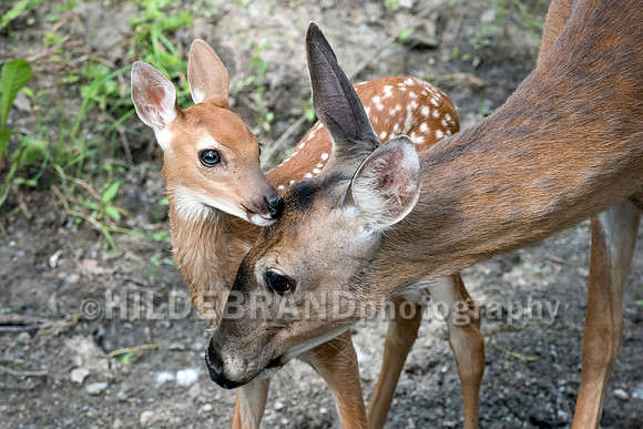 Tender Moment