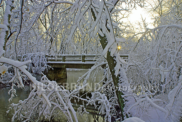 1st Snow