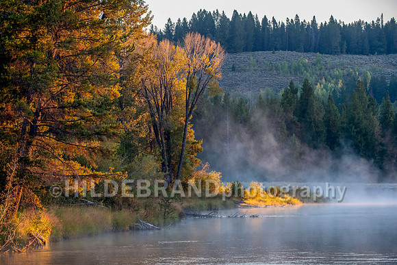 Signs of autumn