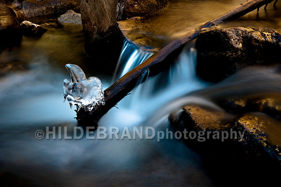Nature's Ice Sculpture