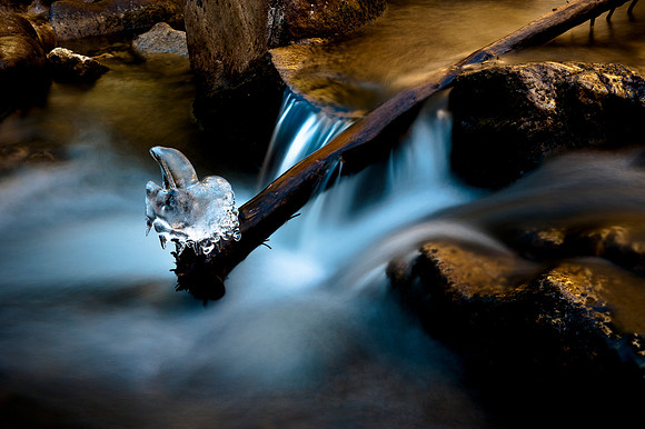 Nature's Ice Sculpture