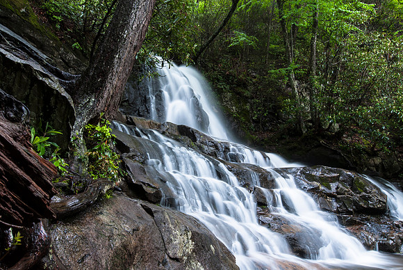 Laurel Falls