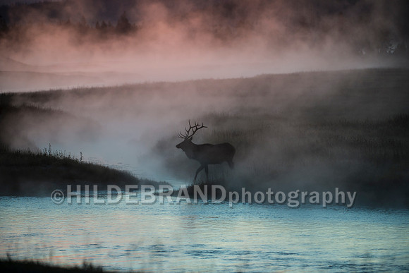 Morning Mist