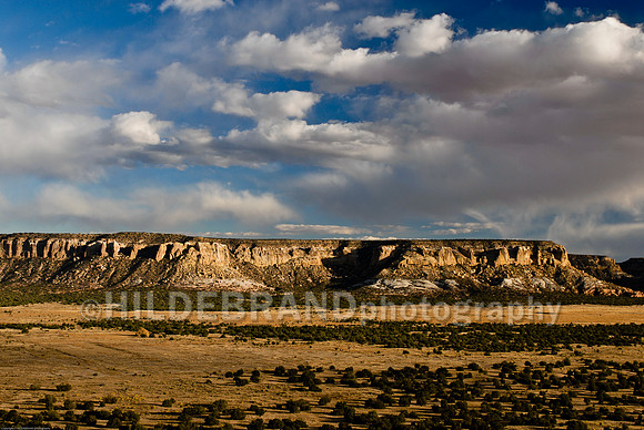 New Mexico
