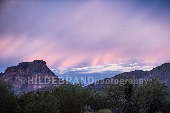 Mesa Morning