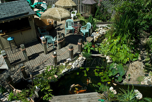 Ewing's Garden