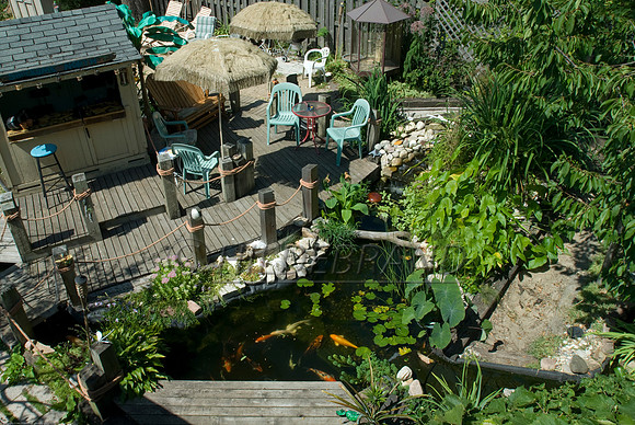 Ewing's Garden