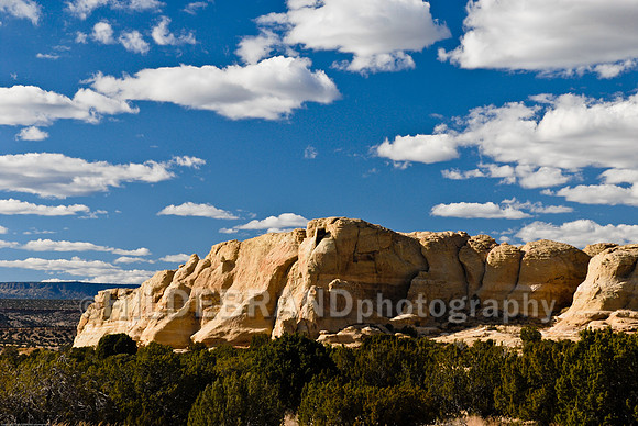 New Mexico
