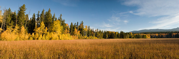 Autumn Panorama