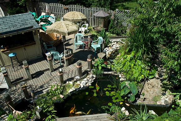 Ewing's Garden