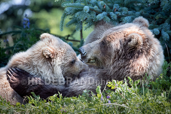 Tender moment