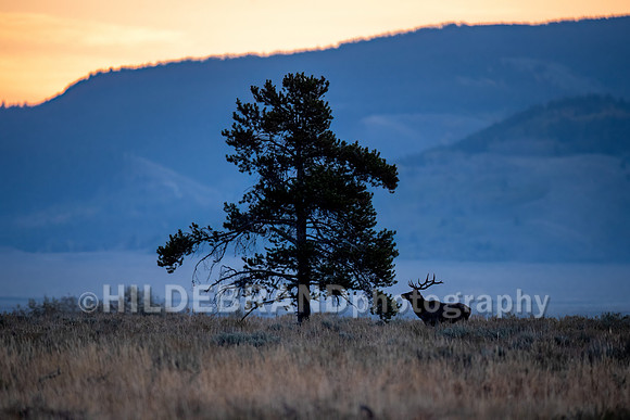 First light of a new day