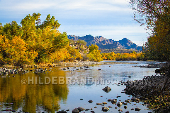 Salt River