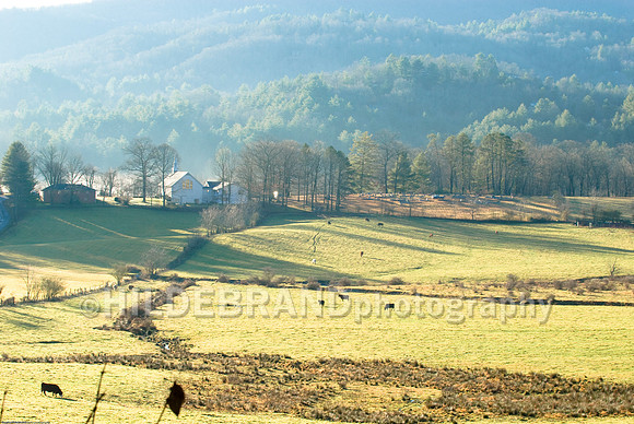 Countryside
