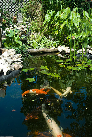Ewing's Garden