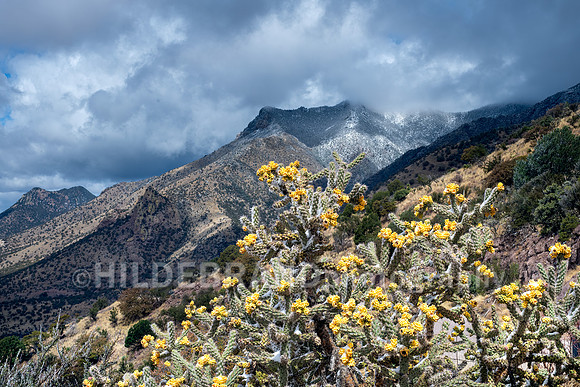 Coronado National Memorial