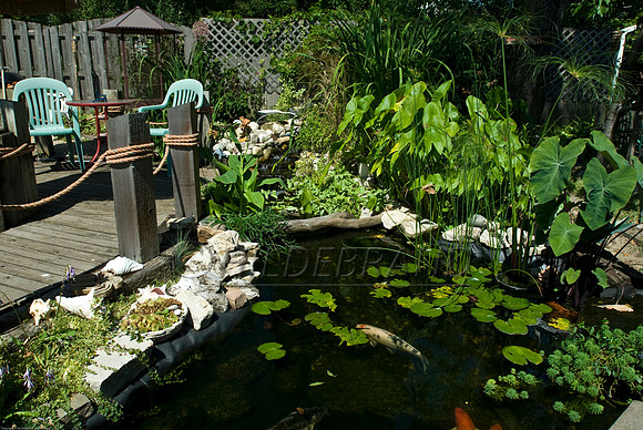 Ewing's Garden