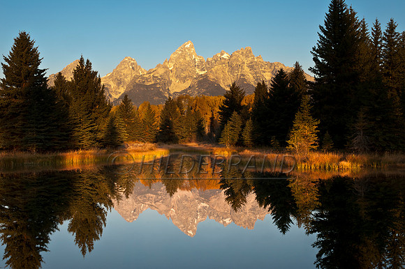 Grand Tetons Reflection