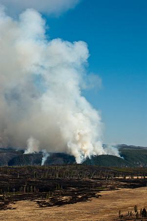 Yellowstone Fire