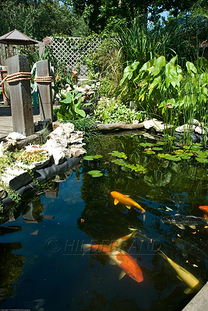 Ewing's Garden
