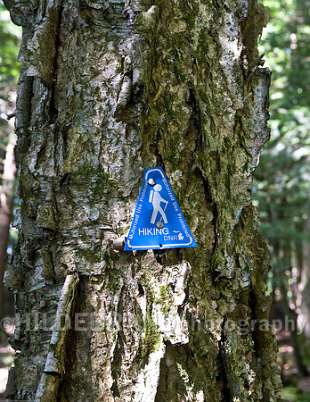 Porkies Trail