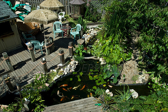 Ewing's Garden