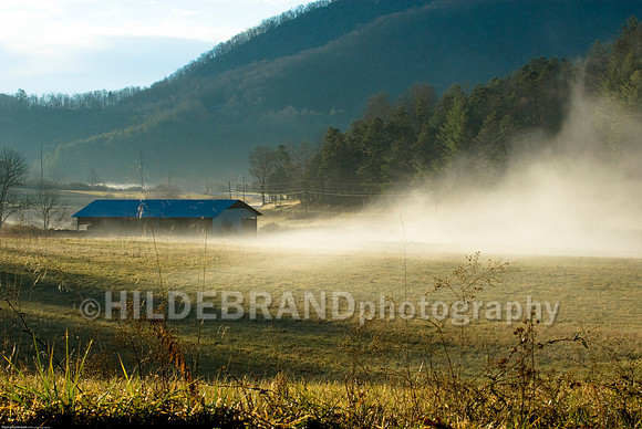 Morning Mist