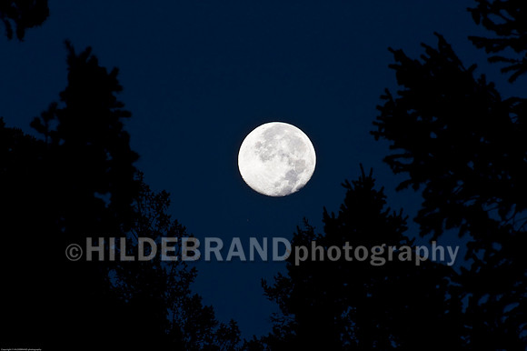 Moon over Aspen