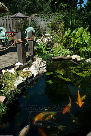 Ewing's Garden