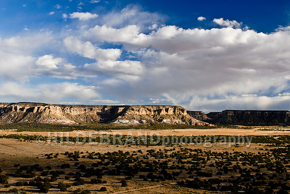 New Mexico