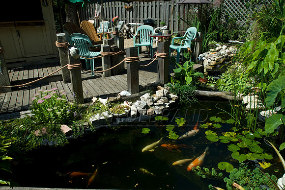 Ewing's Garden