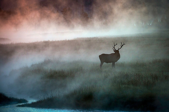 Morning Mist