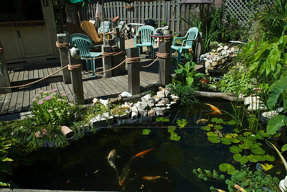 Ewing's Garden