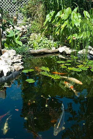 Ewing's Garden