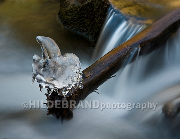 Nature's Ice Sculpture