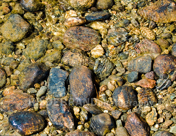 Mountain Stream Rocks