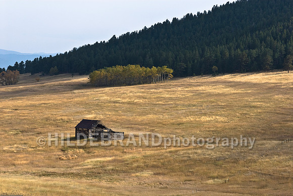 Old Structure in the Meadow