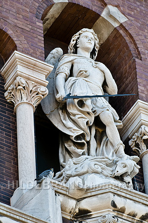 St. Michael's Peregrine