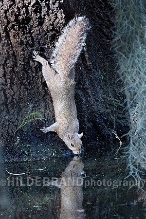 Cautious drink