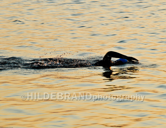 Morning Swim