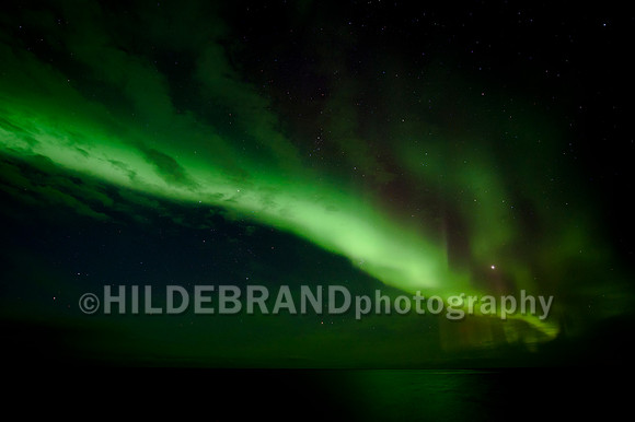 Arctic Aurora