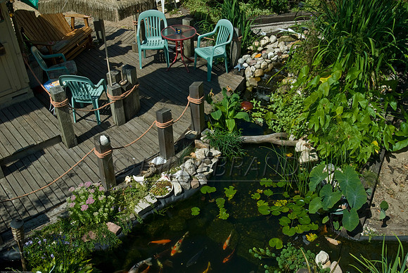 Ewing's Garden