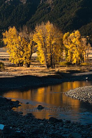 Morning Reflection