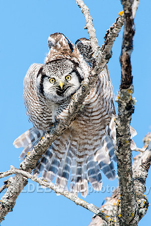 Stretching with attitude