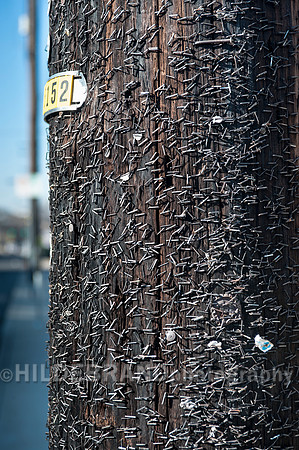 Staples