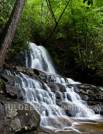 Laurel Falls